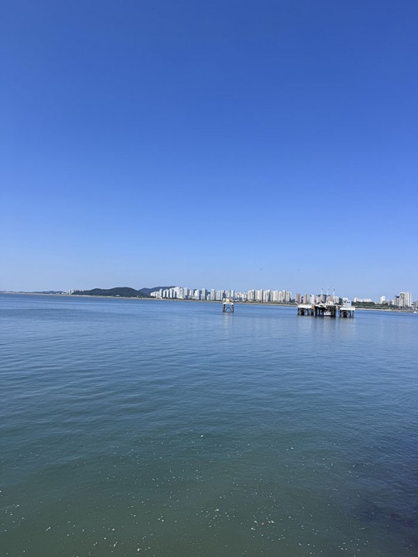 50e931c2e6b8a264b4b7e782828038ad_1757126