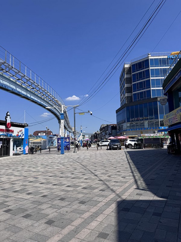 50e931c2e6b8a264b4b7e782828038ad_1757126