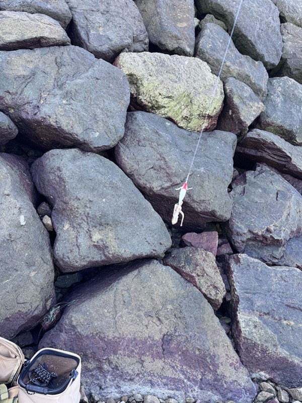 50e931c2e6b8a264b4b7e782828038ad_1757126