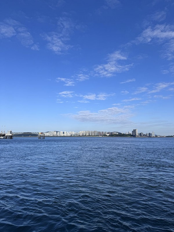 50e931c2e6b8a264b4b7e782828038ad_1757126