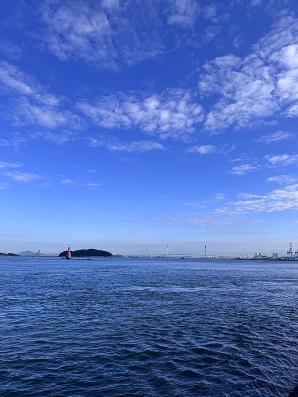 50e931c2e6b8a264b4b7e782828038ad_1757126