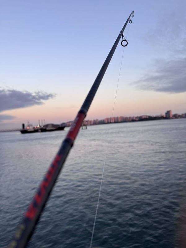 50e931c2e6b8a264b4b7e782828038ad_1757126