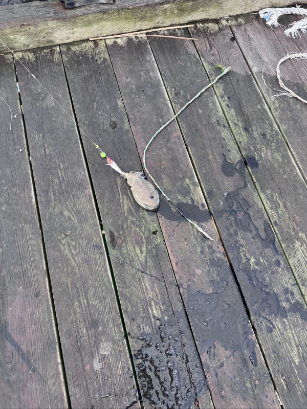 de13747ce377f4d5c779f779b0bac850_1756890