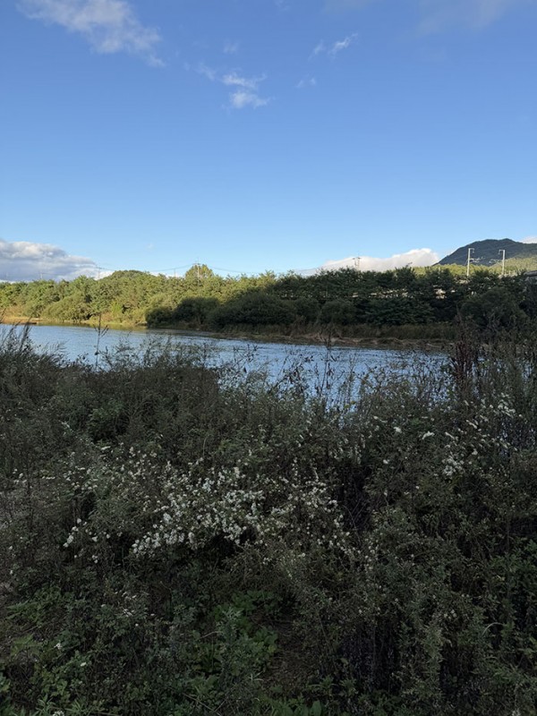 a11a4fb608cf7c5c50068a68e6efadea_1760154