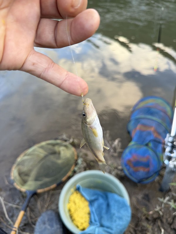 a11a4fb608cf7c5c50068a68e6efadea_1760154