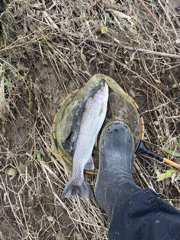 a11a4fb608cf7c5c50068a68e6efadea_1760154