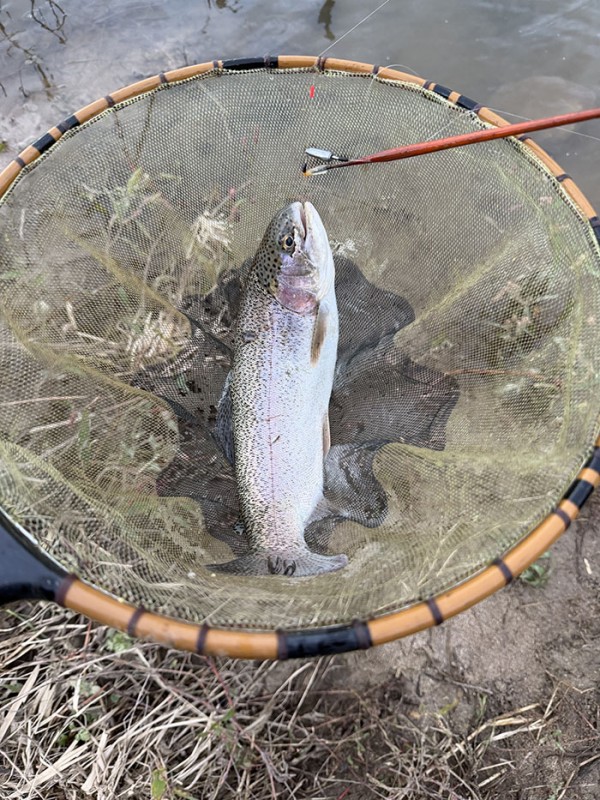 a11a4fb608cf7c5c50068a68e6efadea_1760154