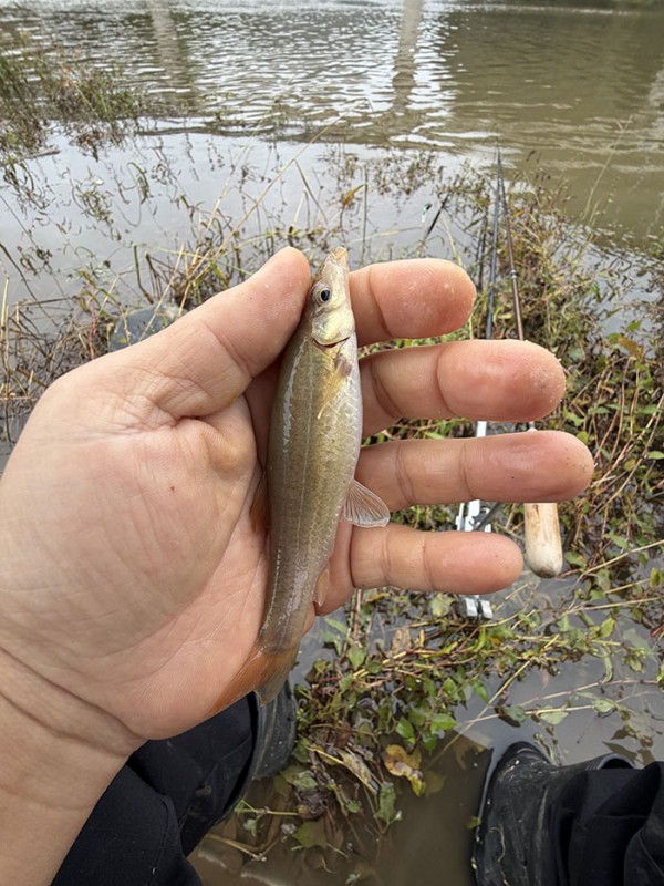 a11a4fb608cf7c5c50068a68e6efadea_1760154