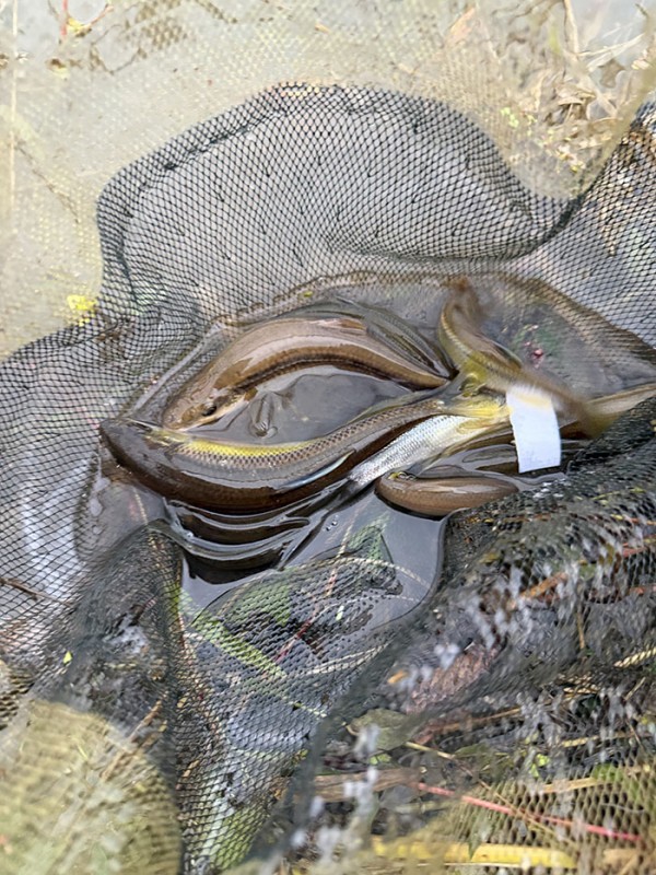 a11a4fb608cf7c5c50068a68e6efadea_1760154