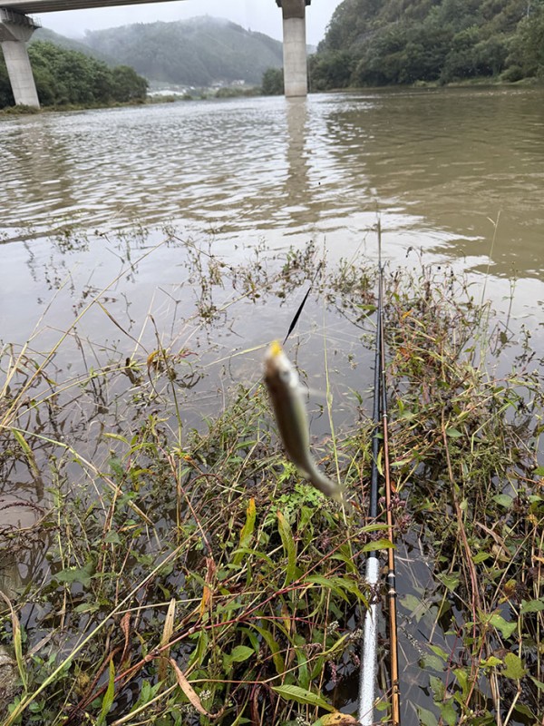 a11a4fb608cf7c5c50068a68e6efadea_1760154