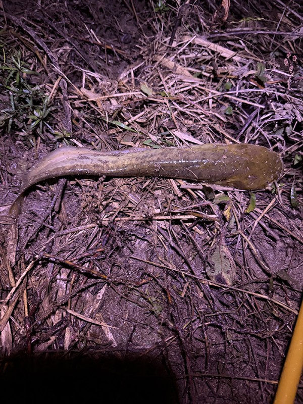 a11a4fb608cf7c5c50068a68e6efadea_1760154