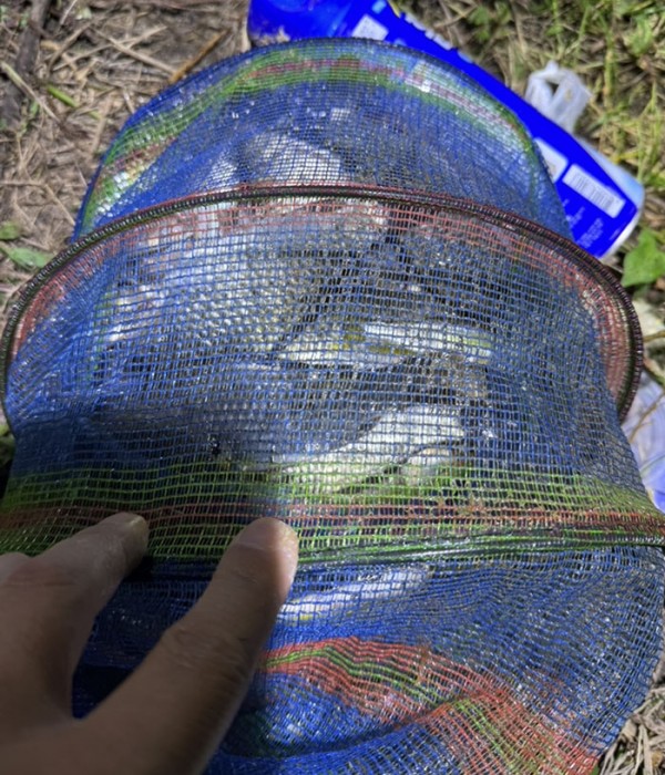 a11a4fb608cf7c5c50068a68e6efadea_1760154