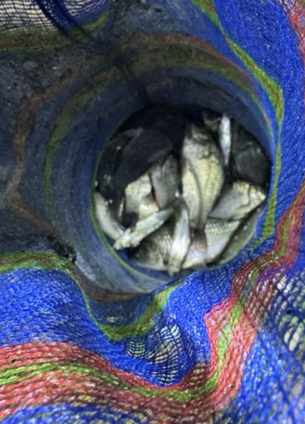 a11a4fb608cf7c5c50068a68e6efadea_1760154